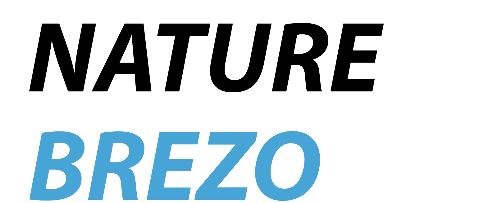 nature-brezo